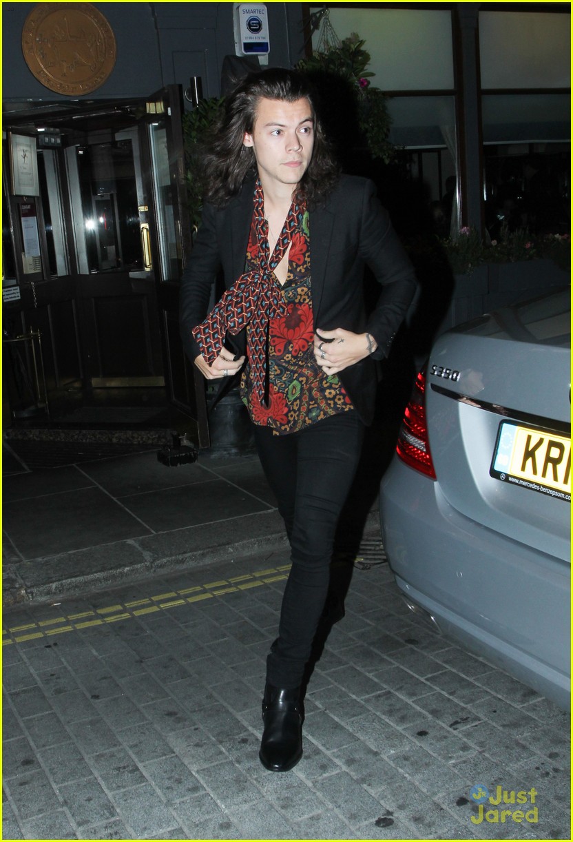 Harry Styles Reportedly Hooking Up With Victoria's Secret Model Sara Sampaio