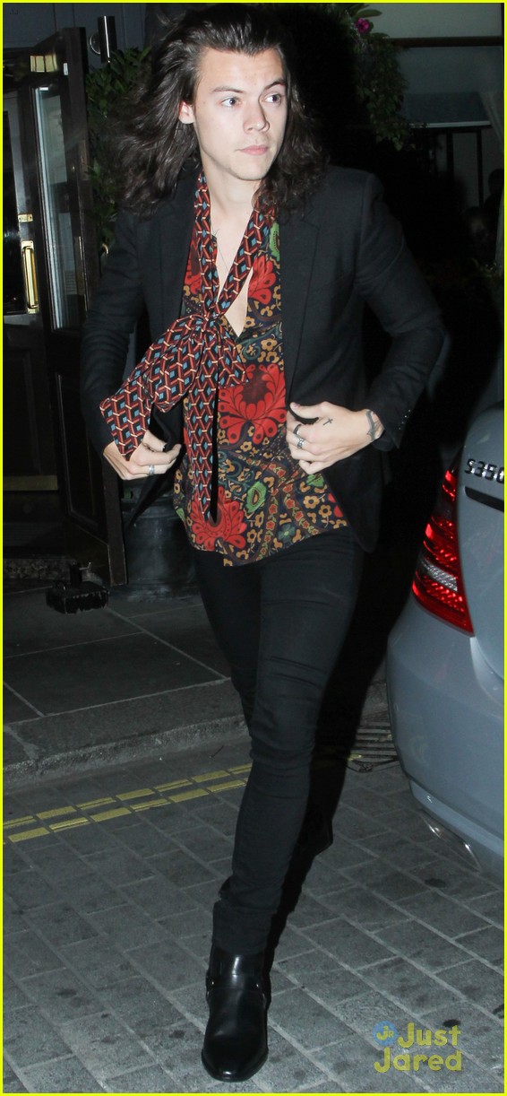 Harry Styles Reportedly Hooking Up With Victoria's Secret Model Sara Sampaio