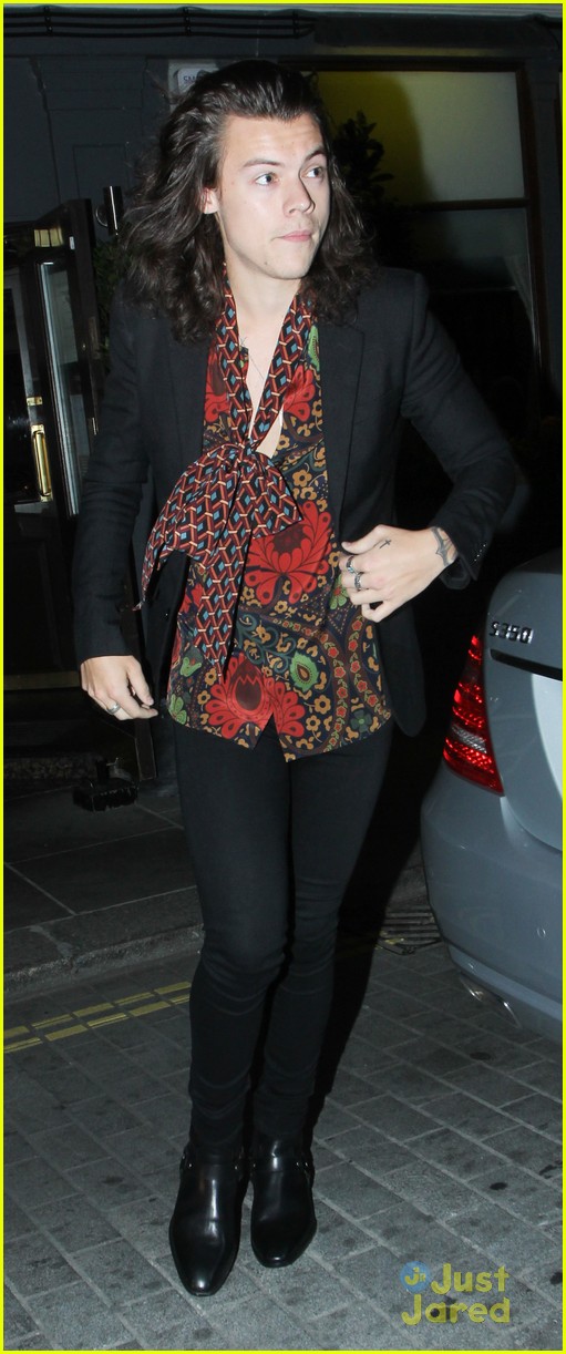 Harry Styles Reportedly Hooking Up With Victoria's Secret Model Sara Sampaio