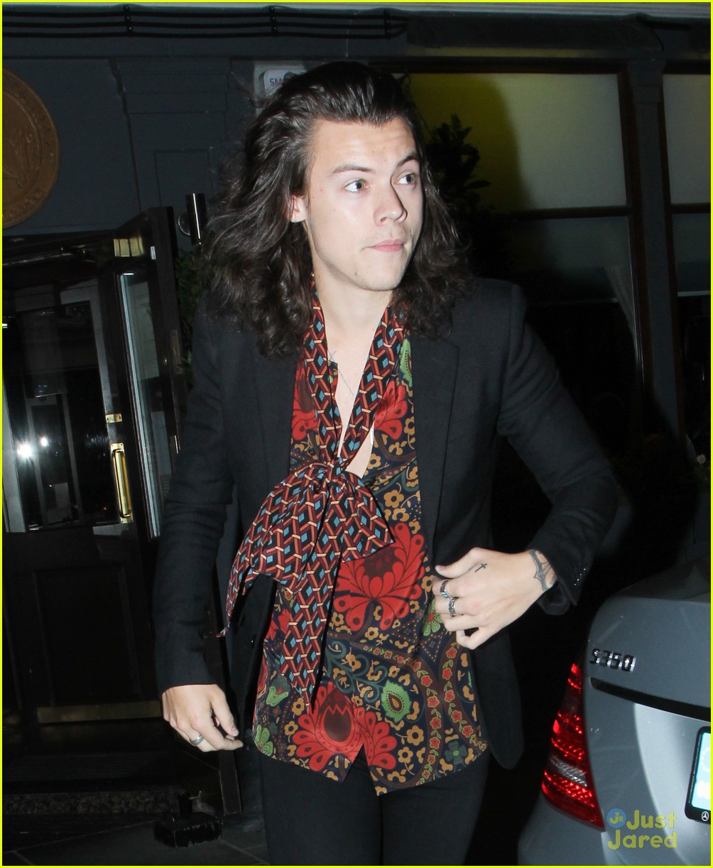 Harry Styles Reportedly Hooking Up With Victoria's Secret Model Sara Sampaio
