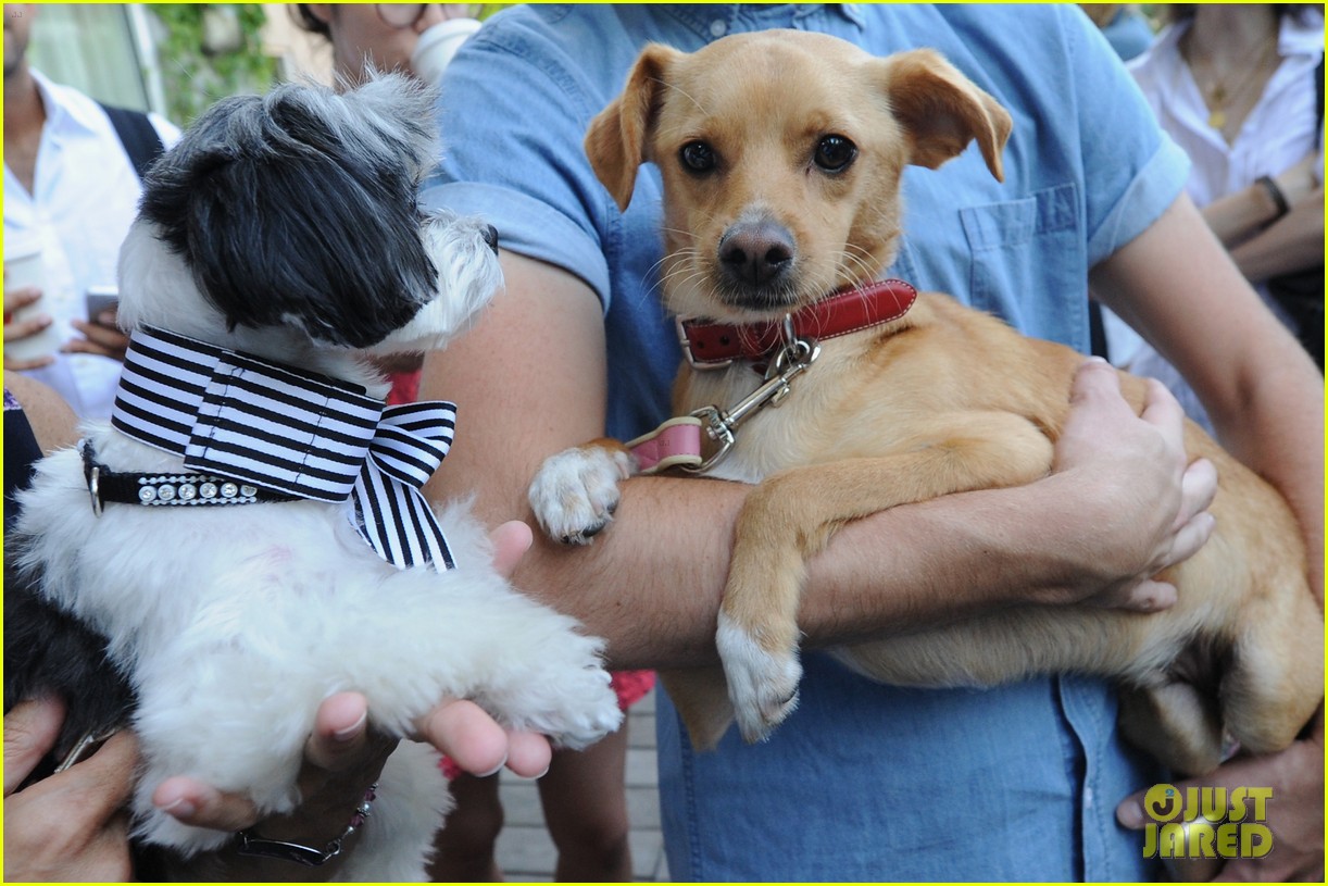 Toulouse, Ariana Grande's Dog, Is a Coach Campaign Star!