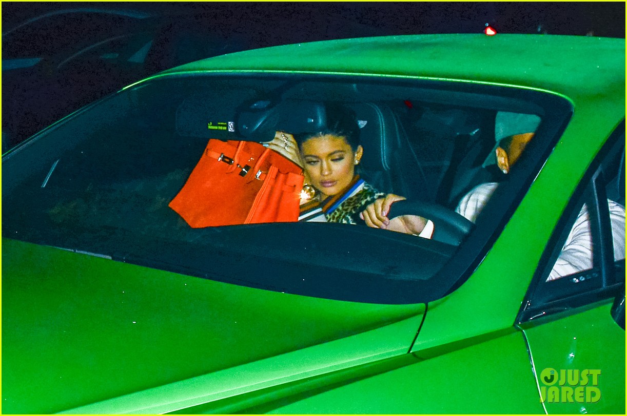 Kylie Jenner & Tyga Do Dinner After Her Instagram Feud with Amandla Stenberg