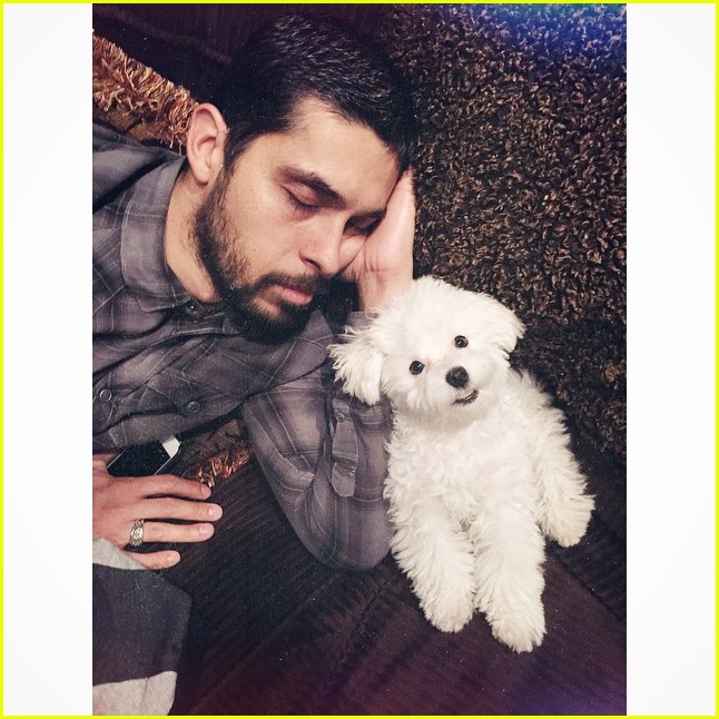 Demi Lovato's Dog Buddy Has Died