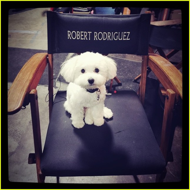 Demi Lovato's Dog Buddy Has Died