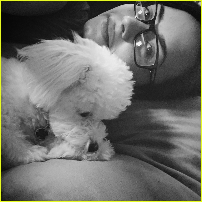 Demi Lovato's Dog Buddy Has Died