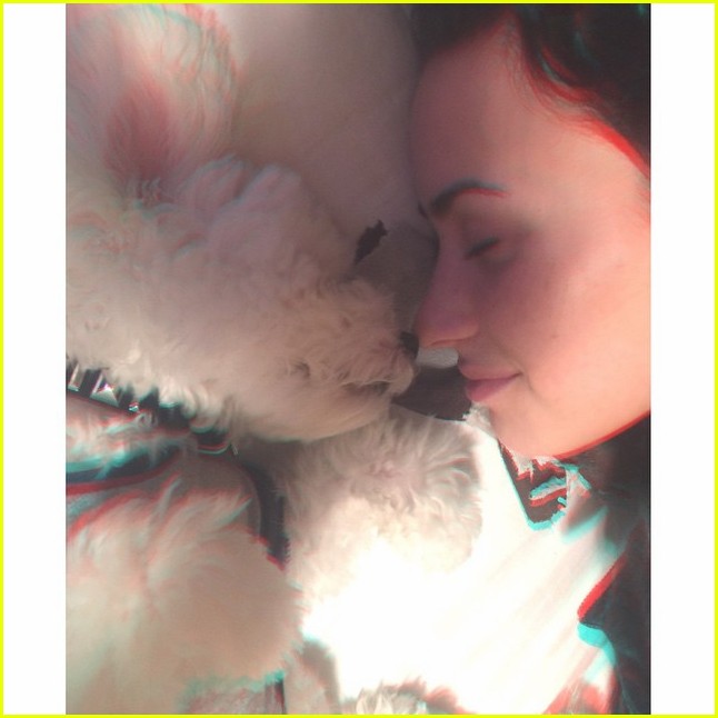 Demi Lovato's Dog Buddy Has Died