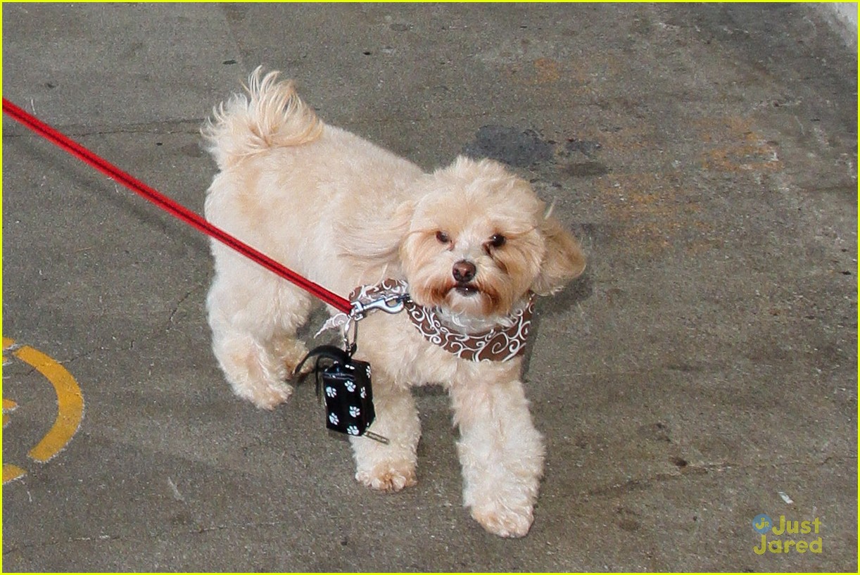 Bella Thorne & Julia Goldani Telles Strike A Pose Backstage At Jill Stuart For NYFW
