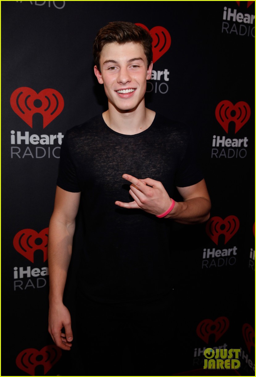 Shawn Mendes & Camila Cabello Have Reportedly Made it Official!