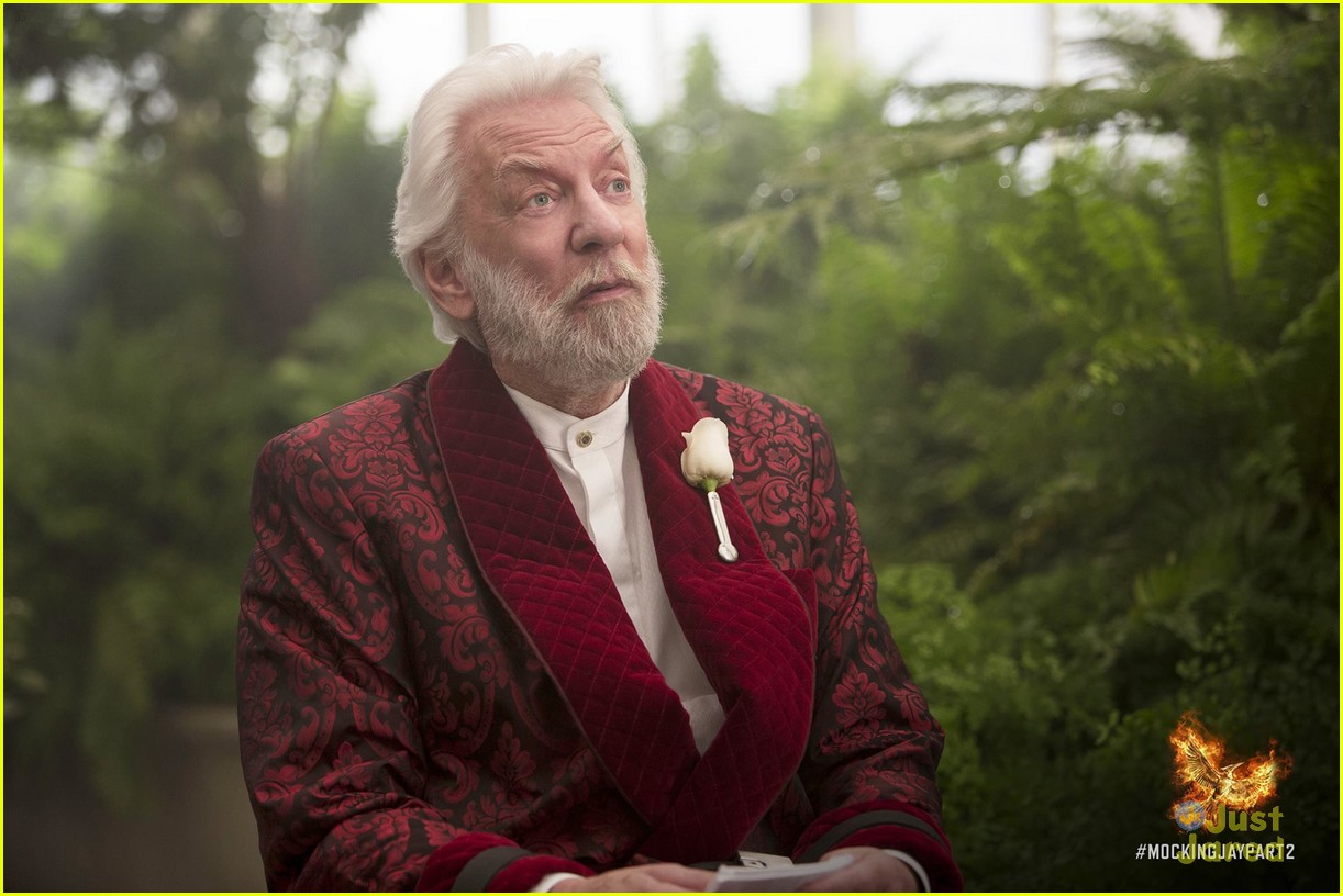 See All The Brand New 'Hunger Games: Mockingjay - Part 2' Pics Here!