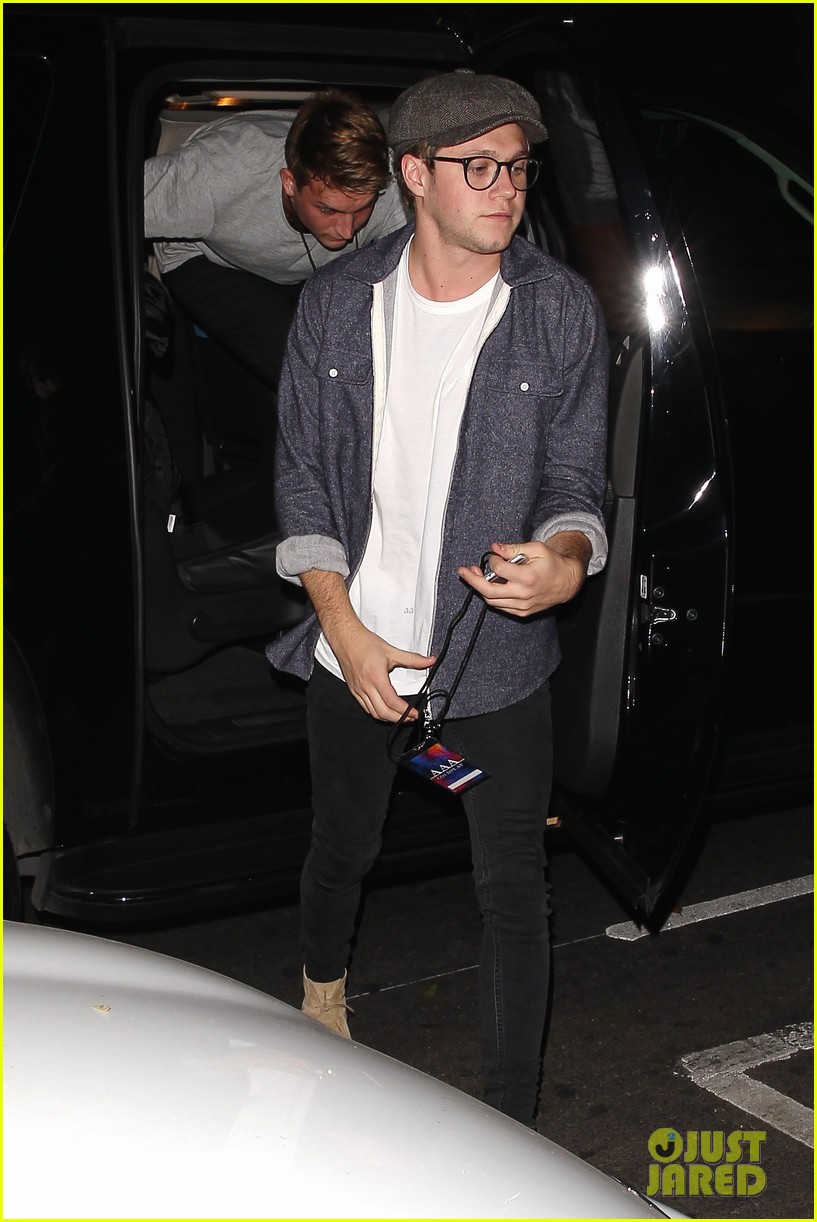 Niall Horan Gets All Access Pass to Coldplay's Concert