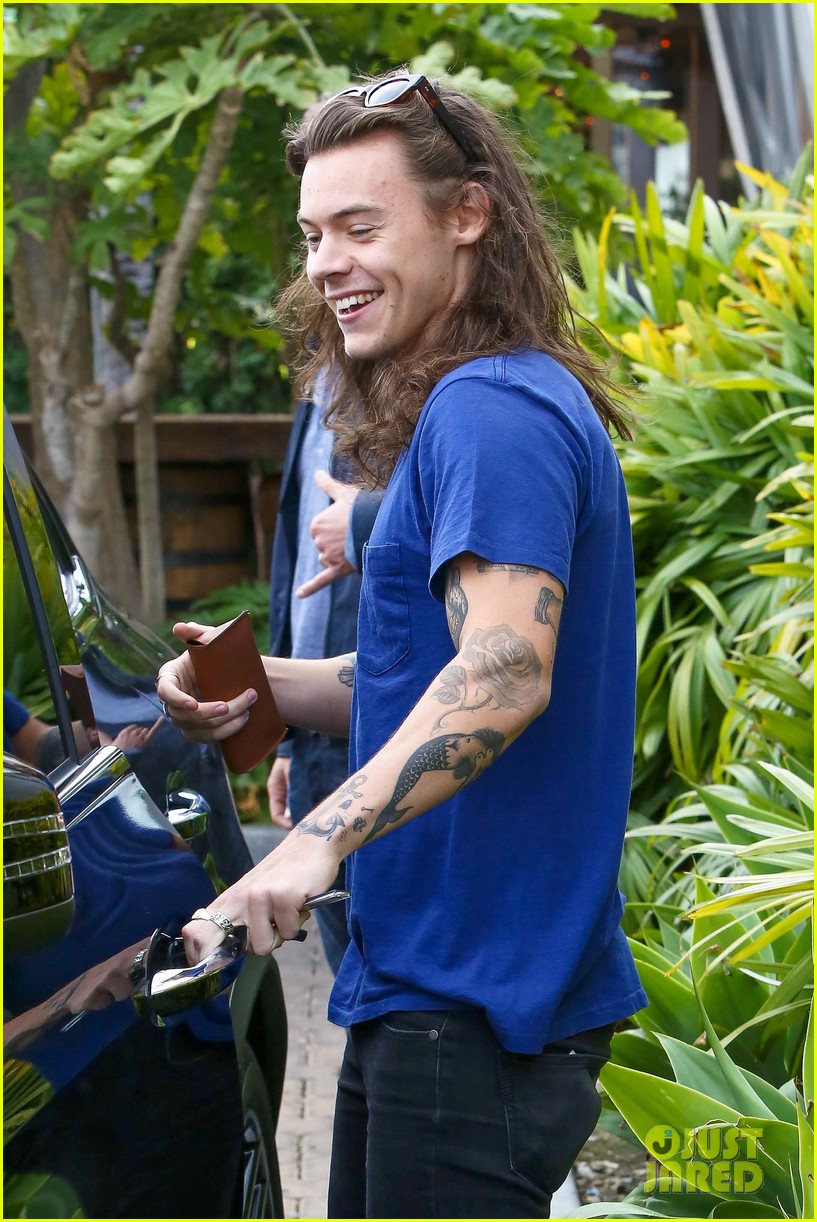 Harry Styles Lunches In Malibu After Birth of Louis Tomlinson's New Baby