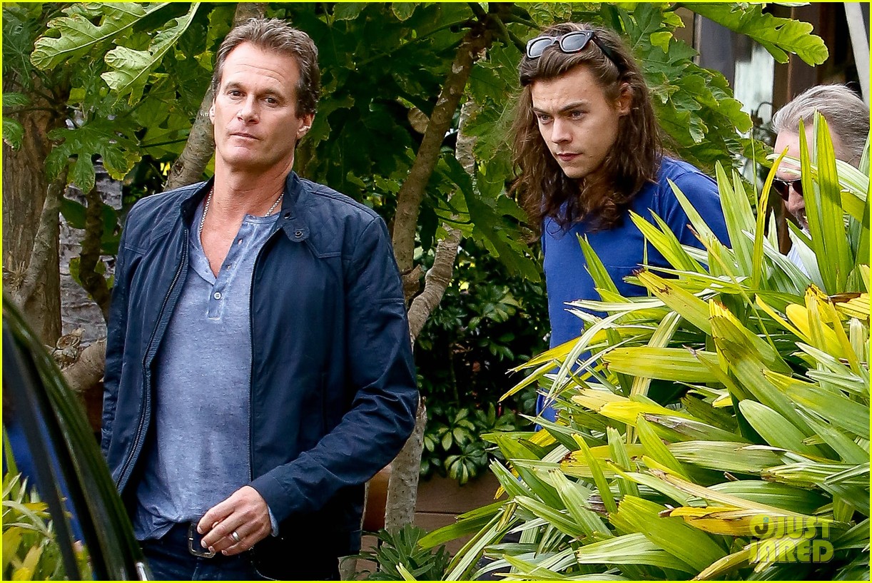 Harry Styles Lunches In Malibu After Birth of Louis Tomlinson's New Baby