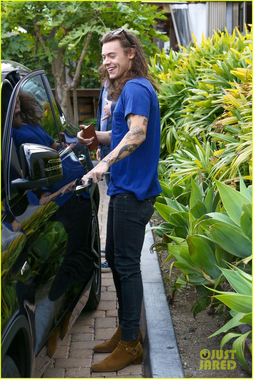 Harry Styles Lunches In Malibu After Birth of Louis Tomlinson's New Baby