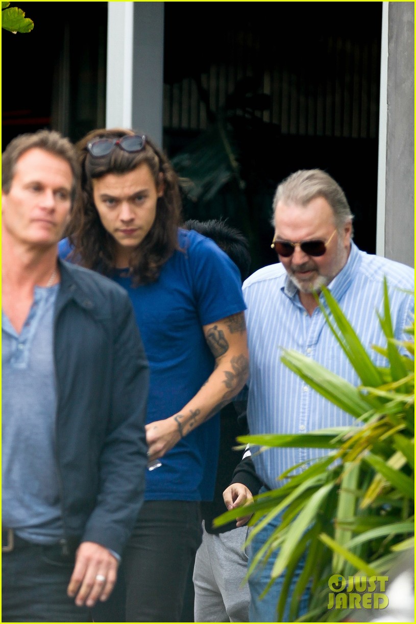 Harry Styles Lunches In Malibu After Birth of Louis Tomlinson's New Baby
