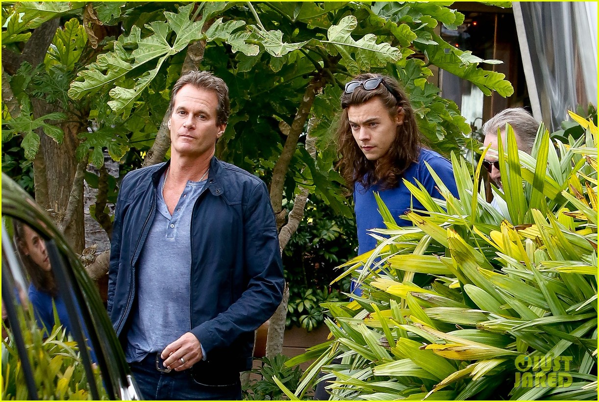 Harry Styles Lunches In Malibu After Birth of Louis Tomlinson's New Baby