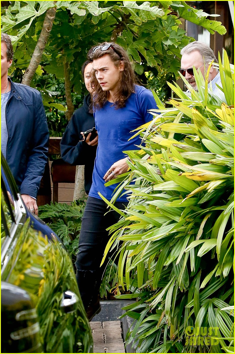 Harry Styles Lunches In Malibu After Birth of Louis Tomlinson's New Baby