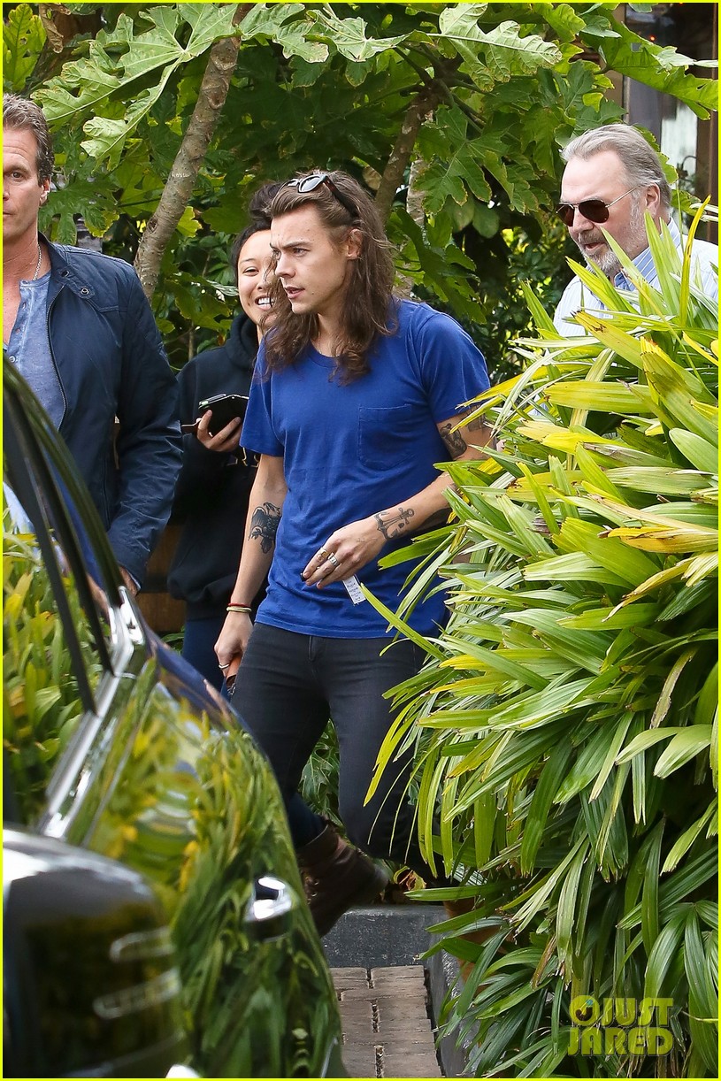 Harry Styles Lunches In Malibu After Birth of Louis Tomlinson's New Baby