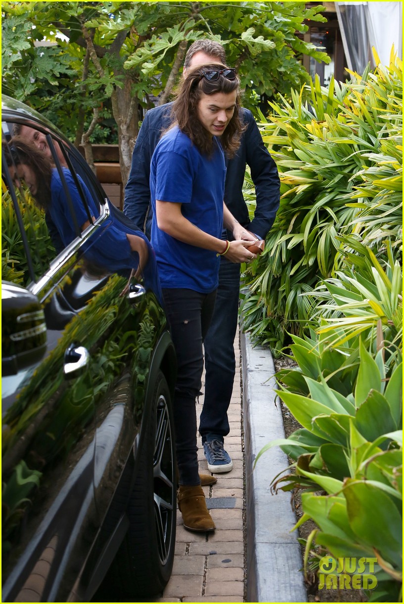 Harry Styles Lunches In Malibu After Birth of Louis Tomlinson's New Baby