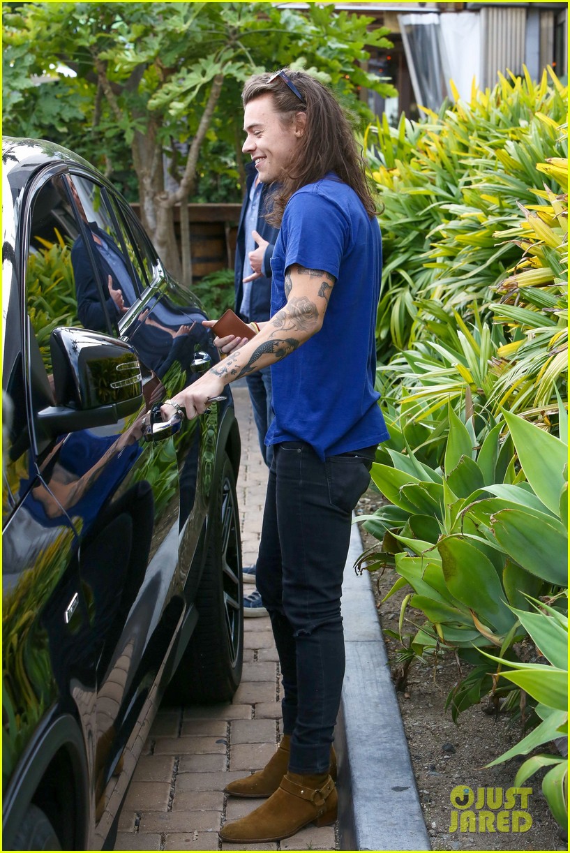 Harry Styles Lunches In Malibu After Birth of Louis Tomlinson's New Baby