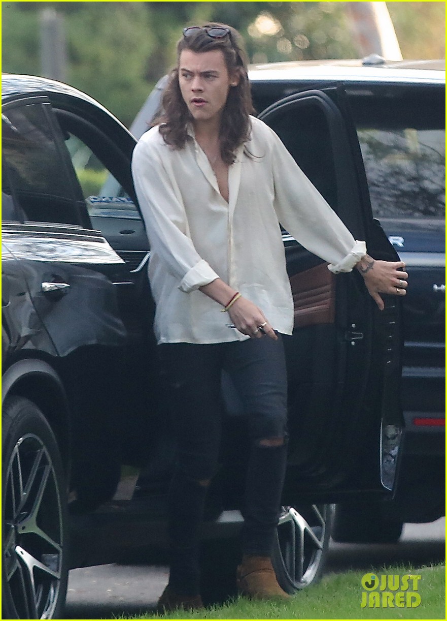 Louis Tomlinson Steps Out After Becoming a Dad!