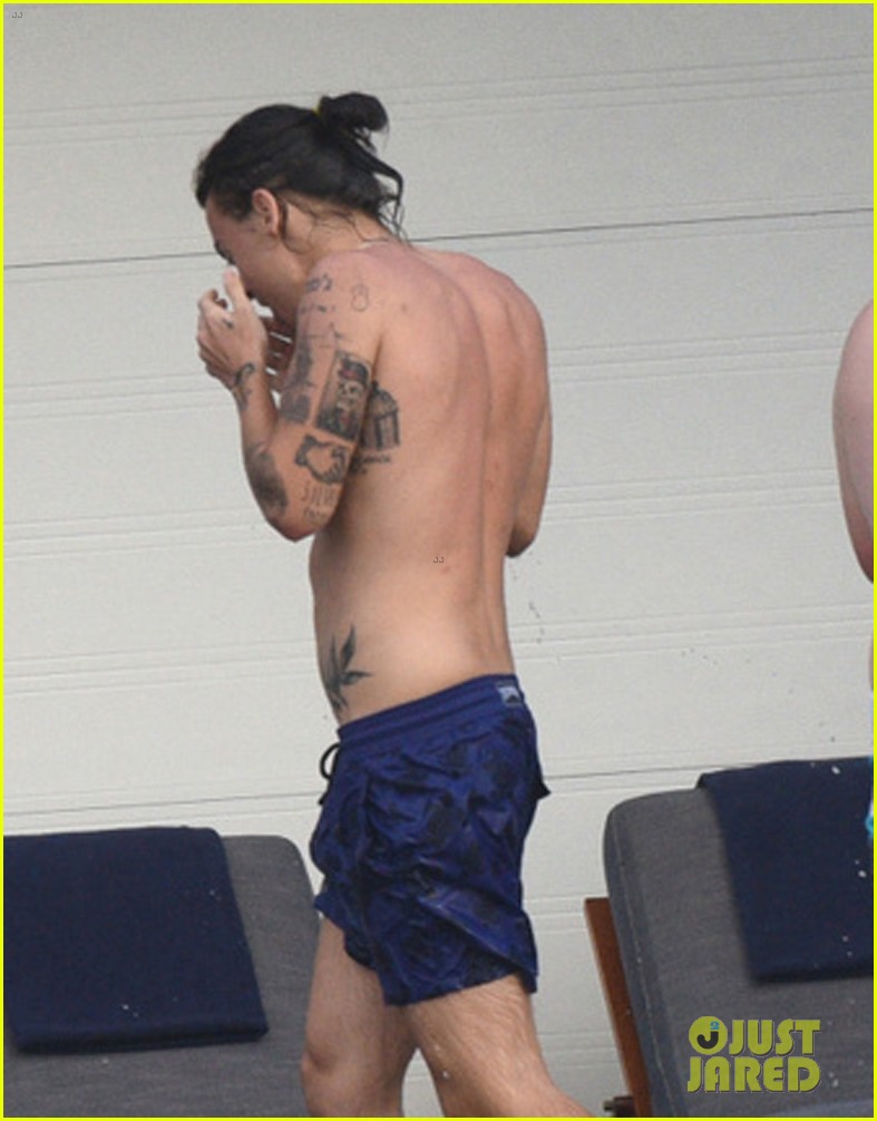 Harry Styles Falls Victim to iCloud Hack, Photos Leaked from Vacation with Kendall Jenner