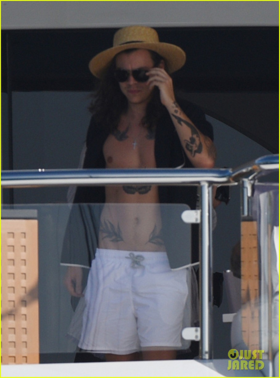Harry Styles Falls Victim to iCloud Hack, Photos Leaked from Vacation with Kendall Jenner