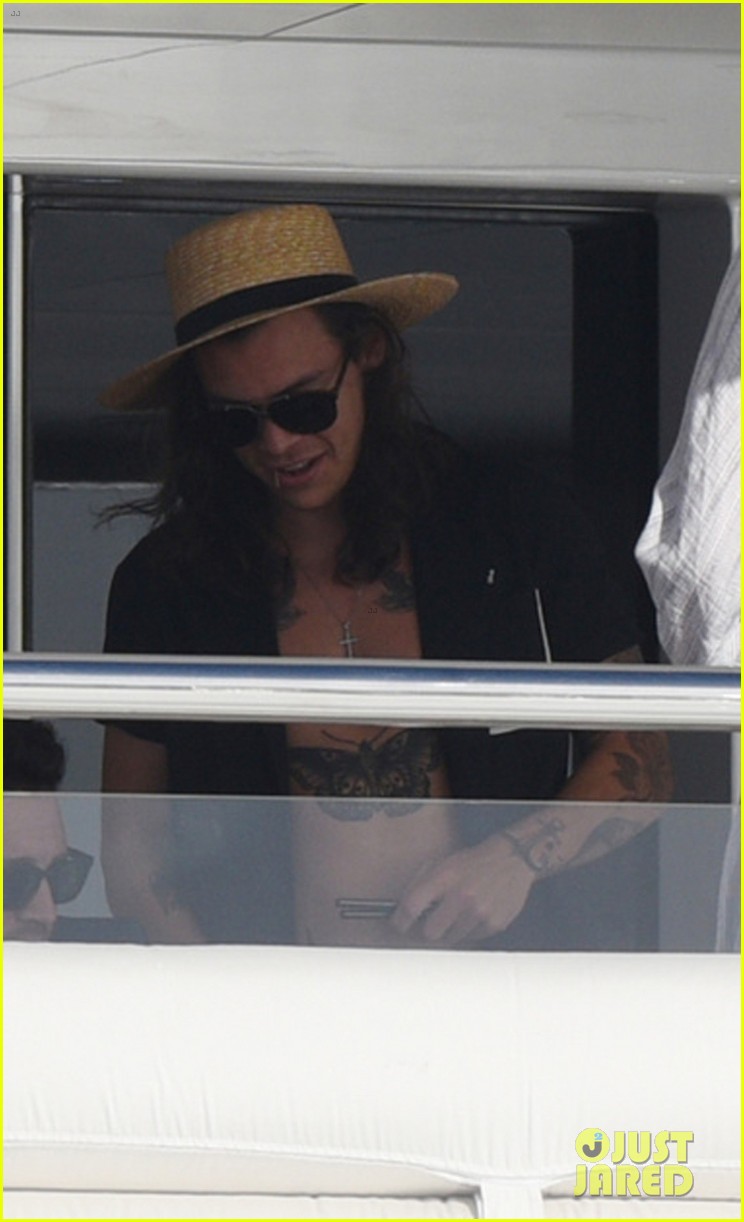 Harry Styles Falls Victim to iCloud Hack, Photos Leaked from Vacation with Kendall Jenner