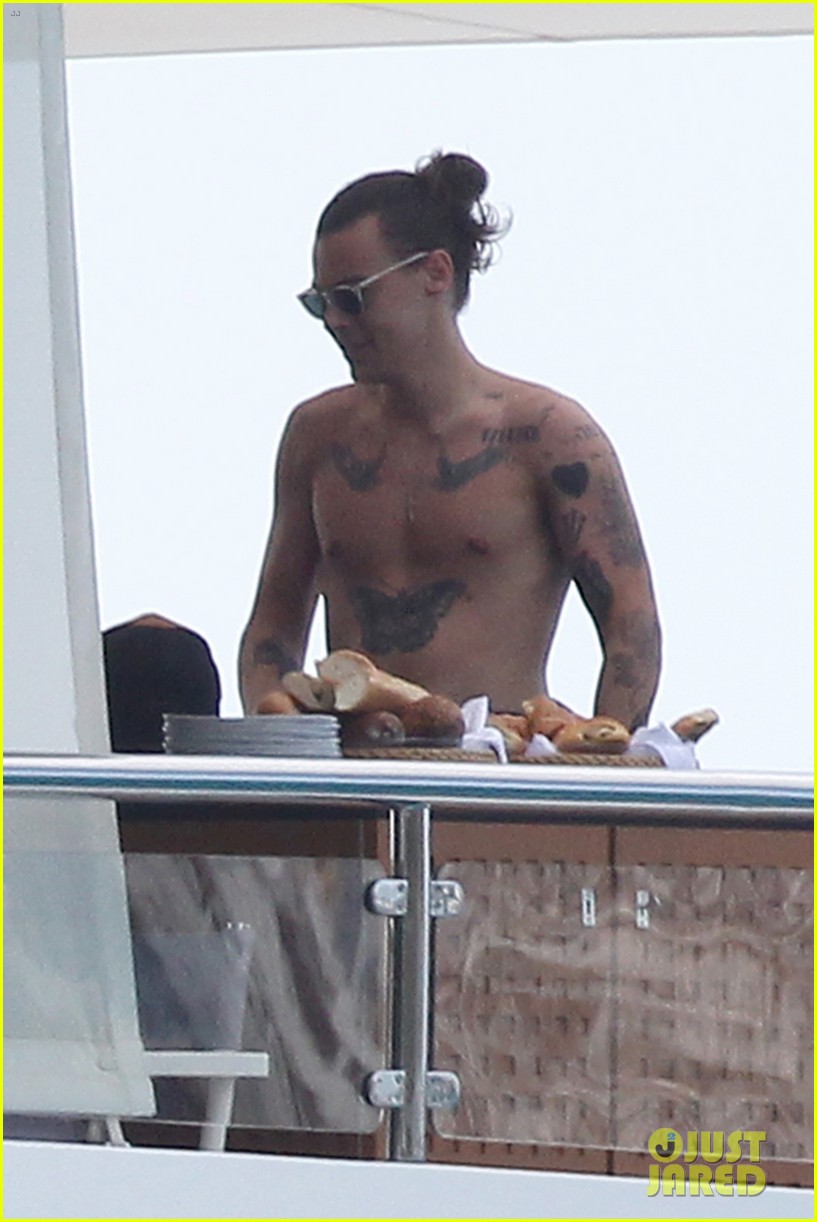Harry Styles Falls Victim to iCloud Hack, Photos Leaked from Vacation with Kendall Jenner