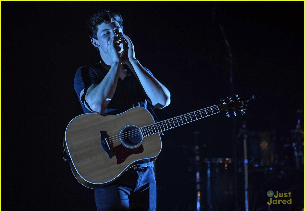 Shawn Mendes Says No One Can 'Fathom' The Success of 'Stitches'