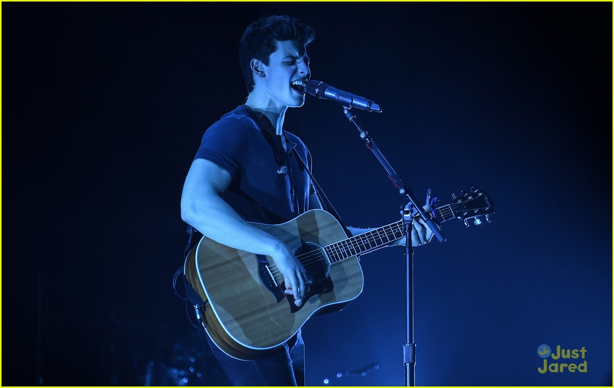 Shawn Mendes Says No One Can 'Fathom' The Success of 'Stitches'