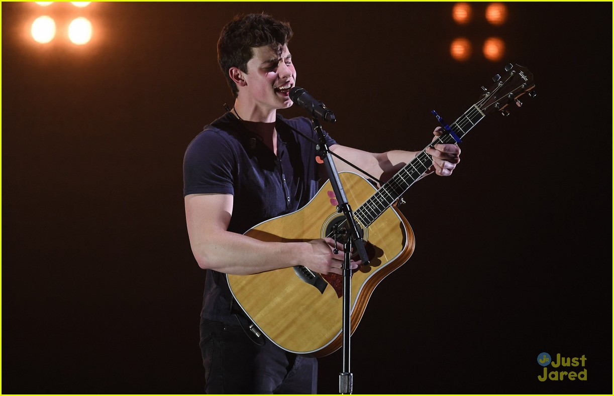 Shawn Mendes Says No One Can 'Fathom' The Success of 'Stitches'