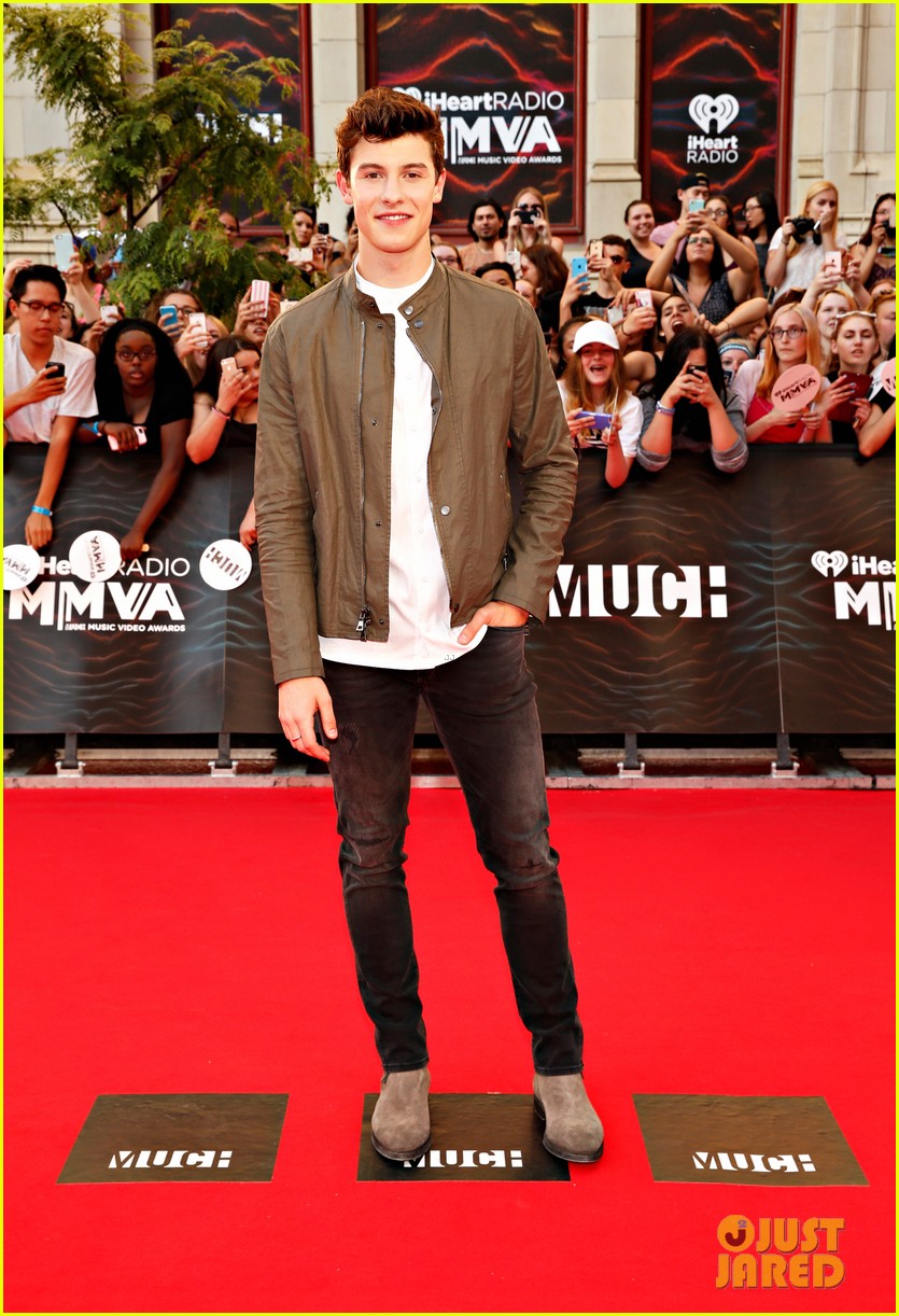 Nick Jonas Hits the MMVAs 2016 Red Carpet with Shawn Mendes!