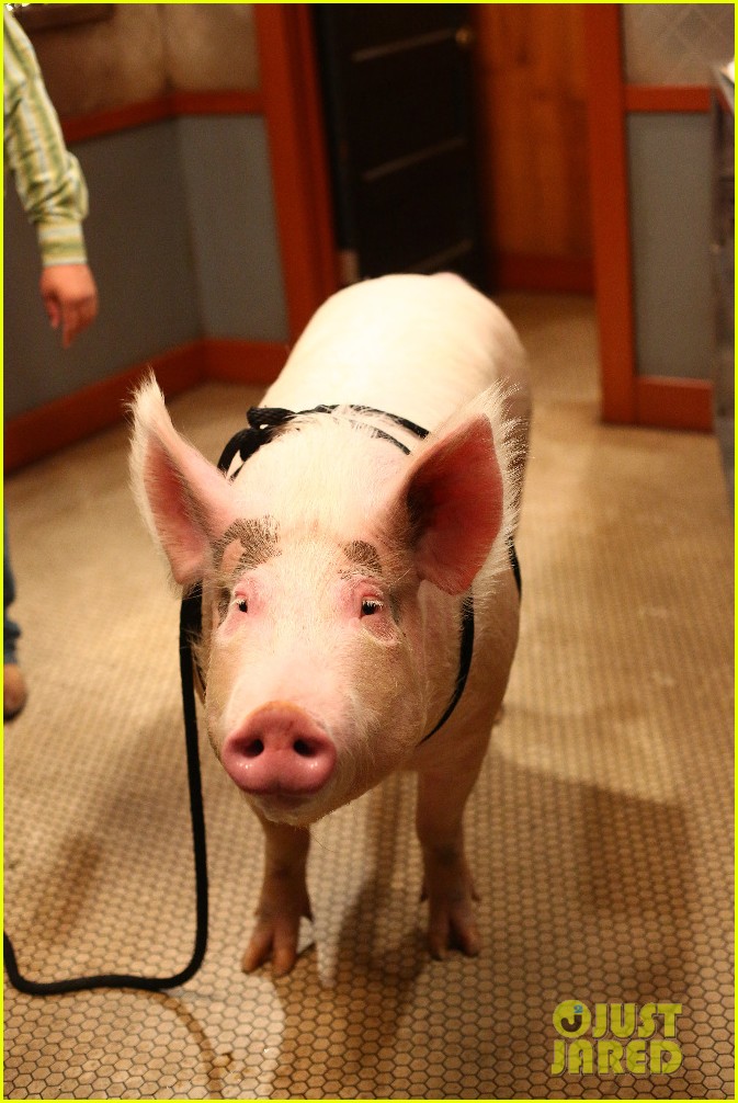 Gabi Gets a Pig on Tonight's 'Young & Hungry'