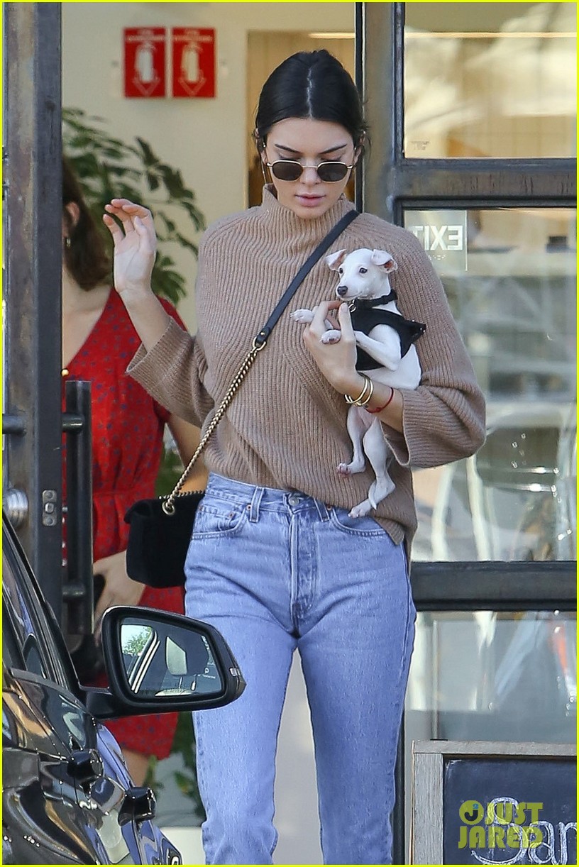 Kendall Jenner Was Joined By a Furry, Little Friend to Lunch!