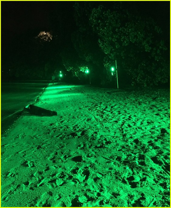 Lorde Just Dropped 'Green Light' Single - Listen Here & Read Lyrics!