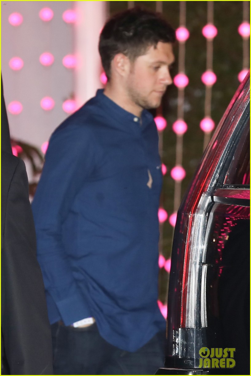 Niall Horan Is Thankful For Radio Disney Music Awards Nomination