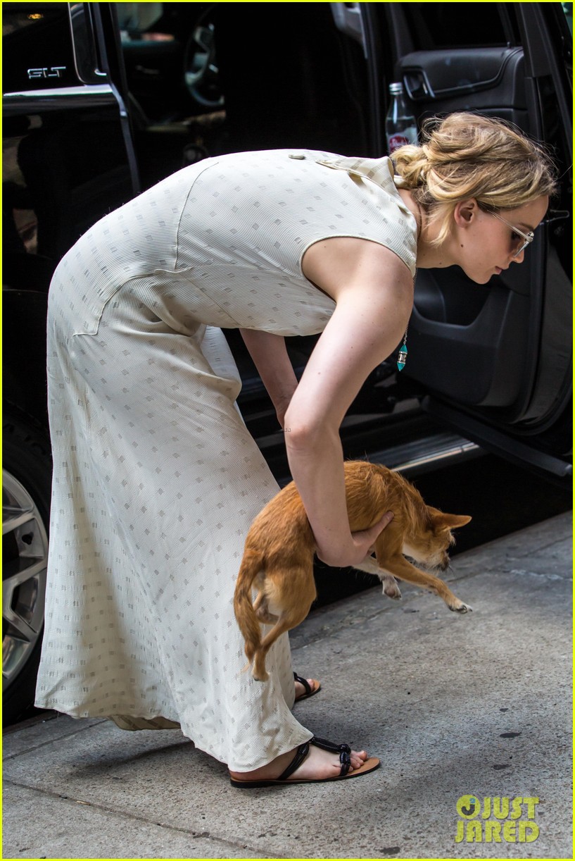 Jennifer Lawrence Takes Her Pup to Boyfriend Darren Aronofsky's Place