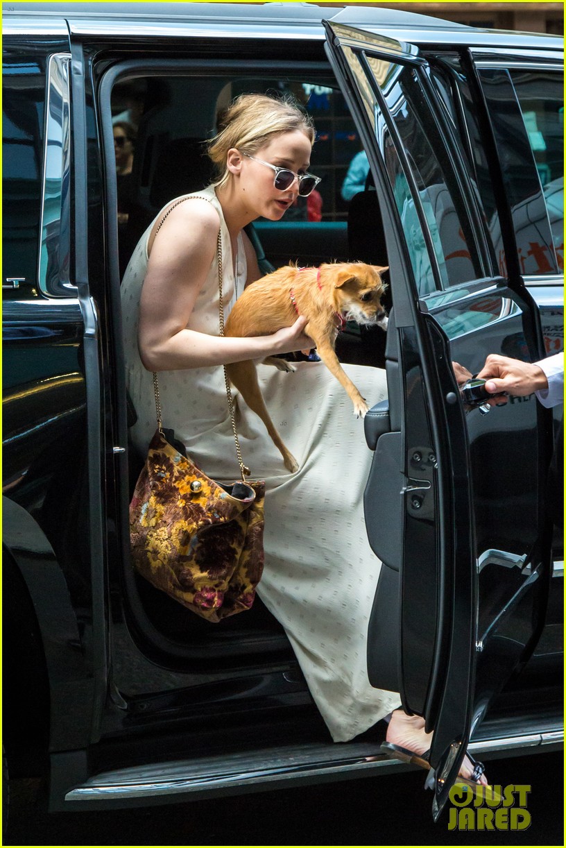 Jennifer Lawrence Takes Her Pup to Boyfriend Darren Aronofsky's Place