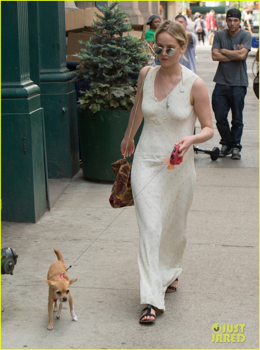 Jennifer Lawrence Takes Her Pup to Boyfriend Darren Aronofsky's Place