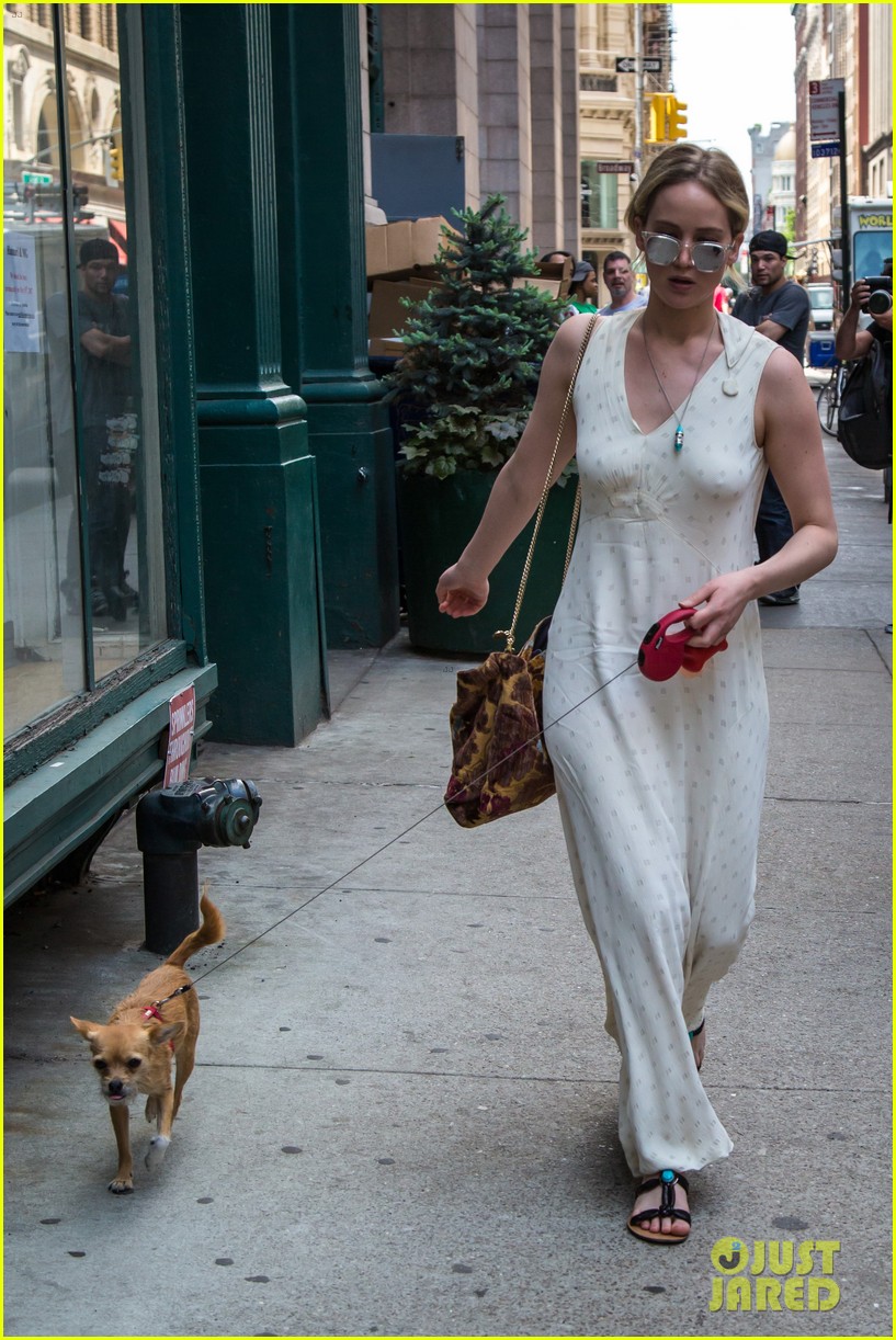 Jennifer Lawrence Takes Her Pup to Boyfriend Darren Aronofsky's Place