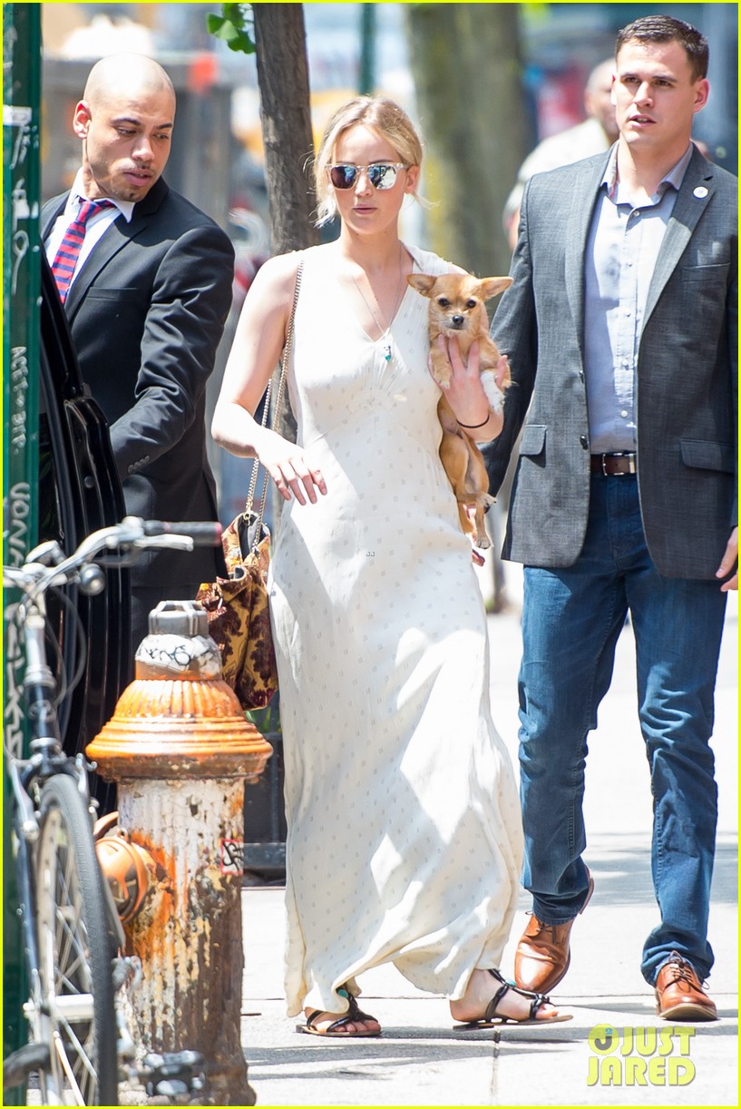 Jennifer Lawrence Takes Her Pup to Boyfriend Darren Aronofsky's Place