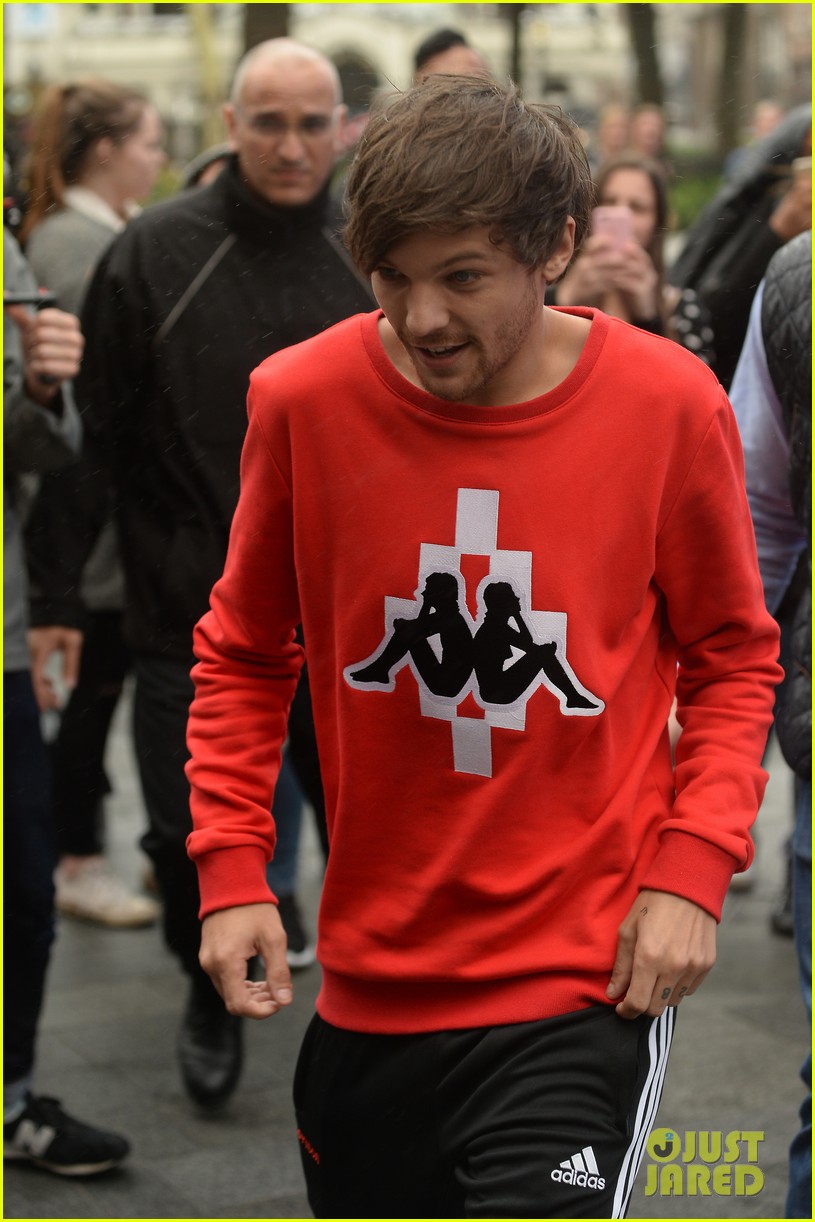 Louis Tomlinson Held One Direction Together at Times, Niall Horan Says