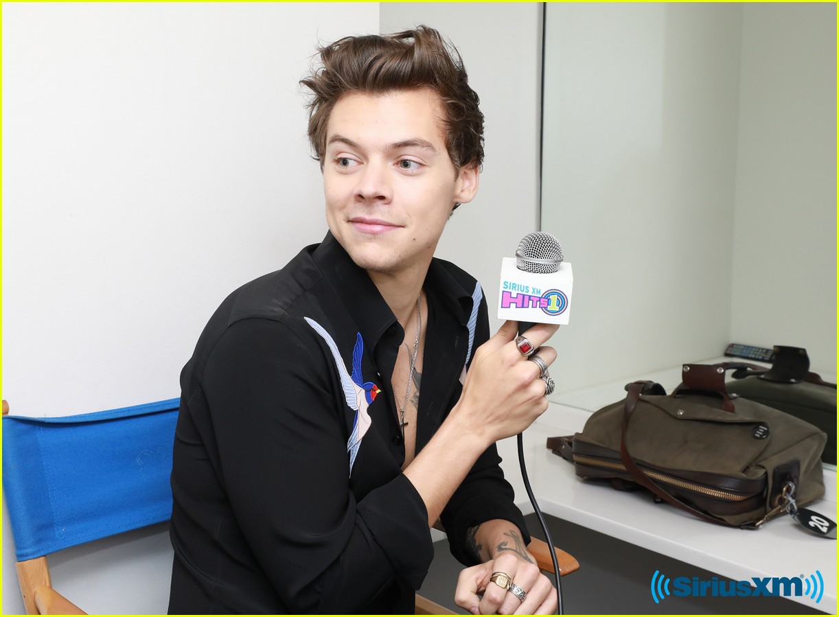 Harry Styles' Favorite Song Right Now is By Selena Gomez