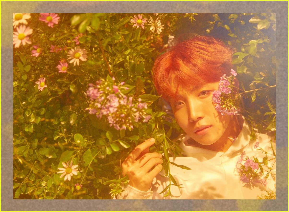 K-Pop Group BTS Look Lovely in Dreamy Concept Photos for Their New Album!