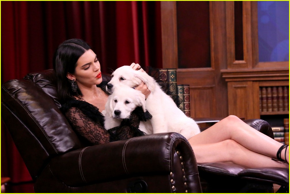 Kendall Jenner Cuddles With Puppies on 'Tonight Show' (Video)