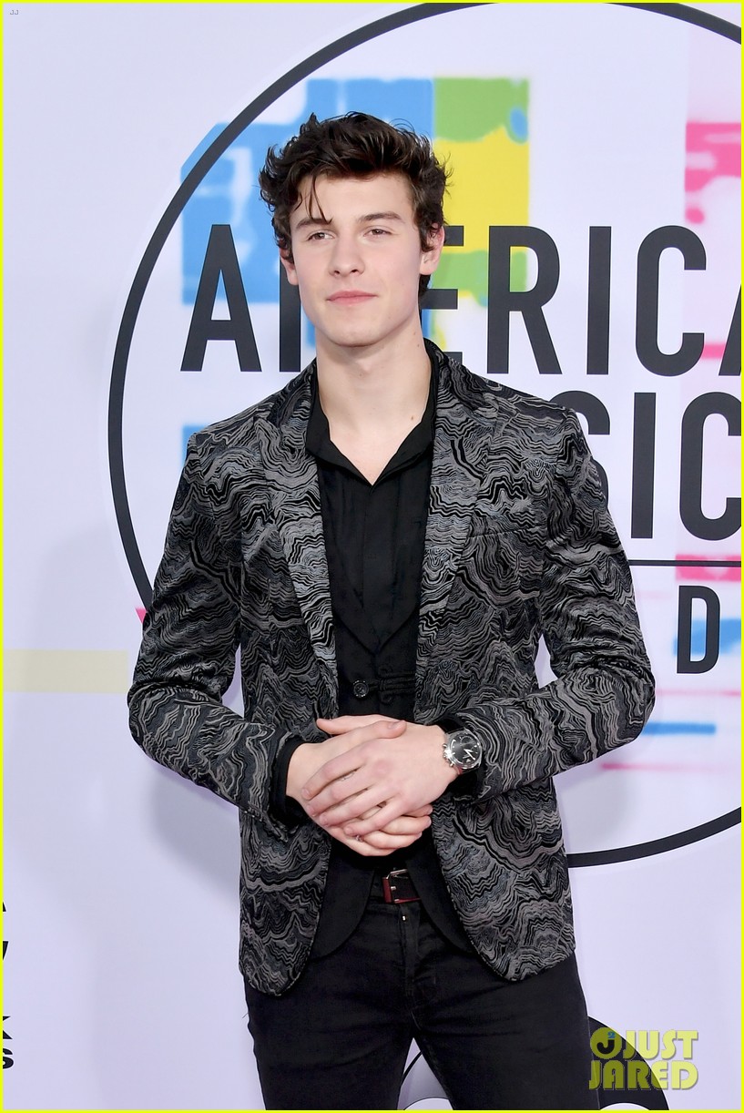 Shawn Mendes Looks So Handsome at American Music Awards 2017!