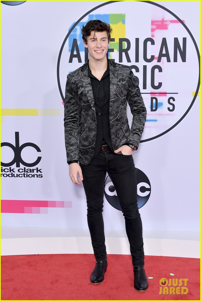 Shawn Mendes Looks So Handsome at American Music Awards 2017!