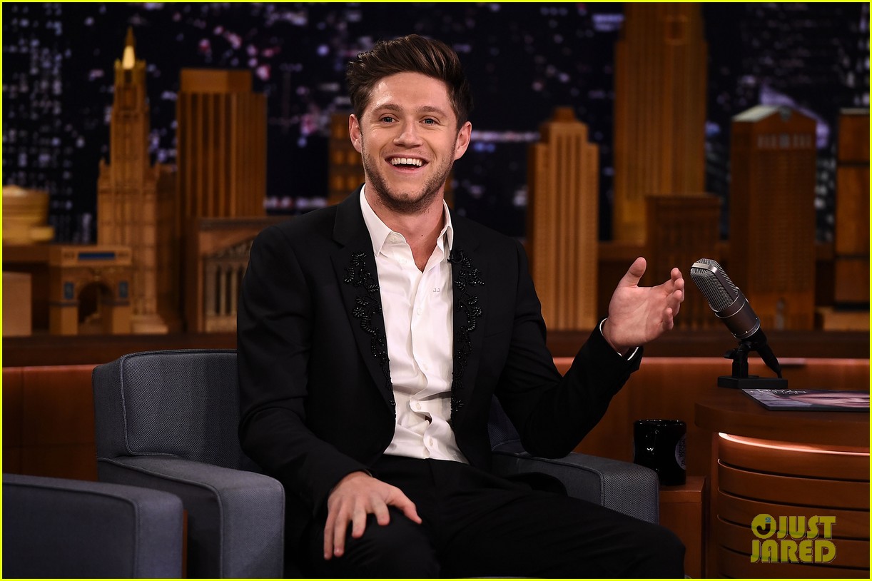 Niall Horan Shares Hilarious Tour Bus Story Involving Ed Sheeran!