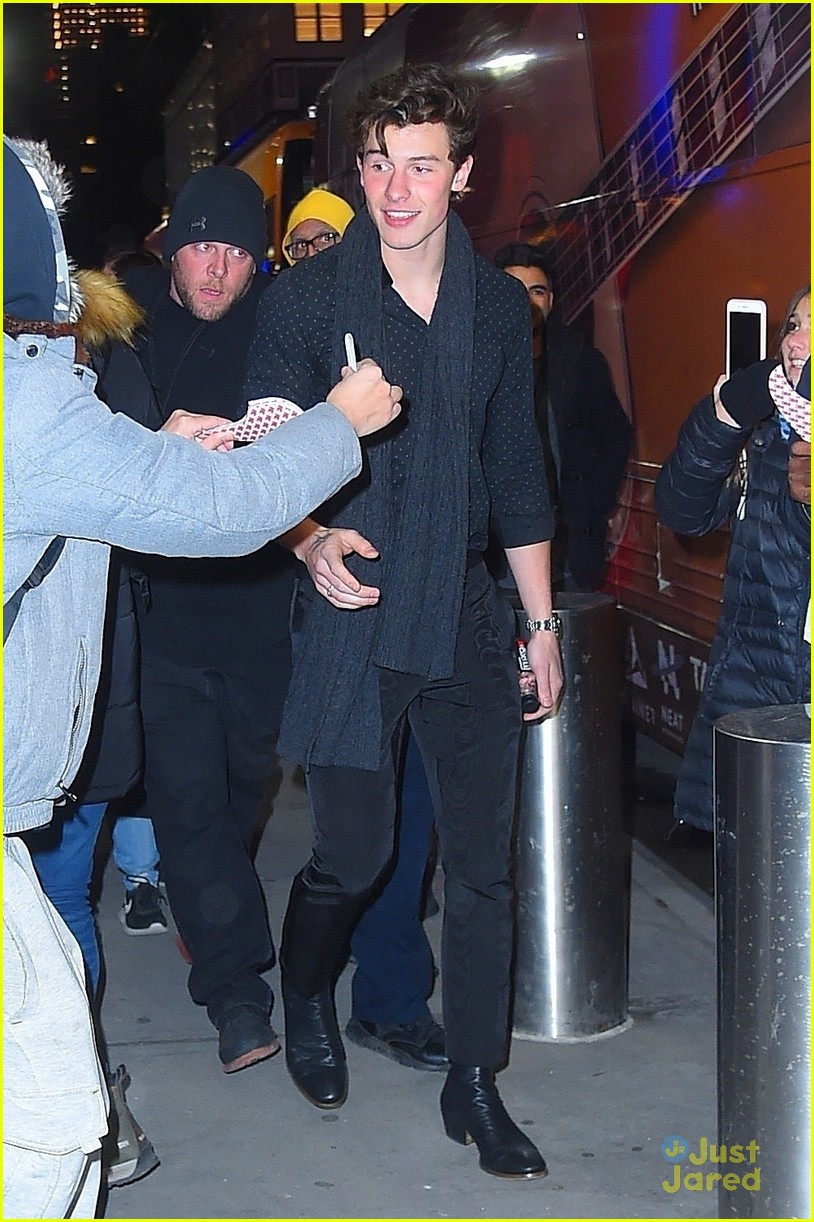 Shawn Mendes, Miley Cyrus & Hailee Steinfeld Attend Elton John Grammy Tribute