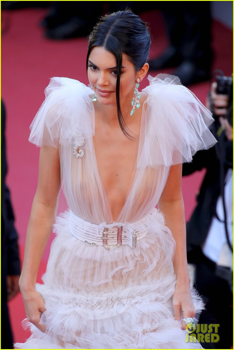 Kendall Jenner & Hailey Baldwin Wow in Gorgeous Gowns at Cannes Film Festival!